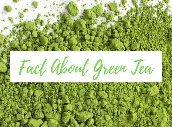 Fakta Unik Di Balik Bubuk Green Tea Rinnai Indonesia